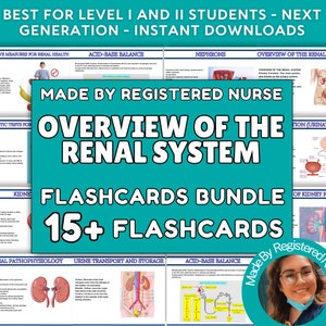 Może przedstawiać: Turkusowe tło z tekstem "Overview of the Renal System" w kolorze białym. Obraz zawiera również zdjęcie zarejestrowanej pielęgniarki i zestaw kart edukacyjnych z ilustracjami ludzkiego układu moczowego. Tekst "Made by Registered Nurse" znajduje się w białym kółku z turkusową obwódką.