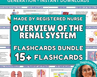 Overview of the Renal System Flash Cards | 15 Detailed Anatomy & Physiology Study Cards | Nursing  Medical Students Study Aid