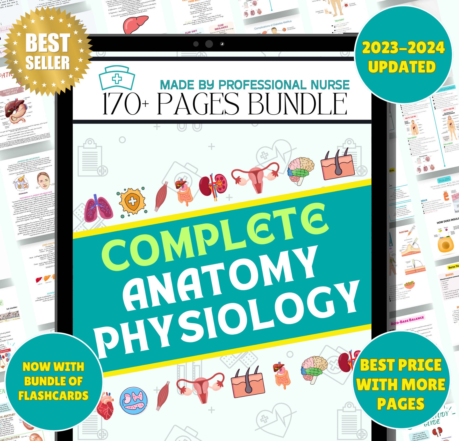 Anatomy　Physiology　Book　and　Coloring　Etsy