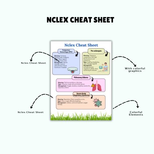 NCLEX Cheat Sheet Bundle 26: 100+ Nursing Study Guide (digital Download ...