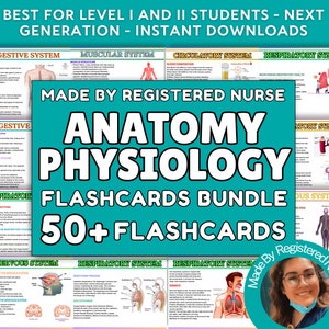 Volledige anatomie en fysiologie Nursing 50+ flashcards, studiegids anatomie, anatomienotities, aantekeningen fysiologie, gids, verpleegbundel