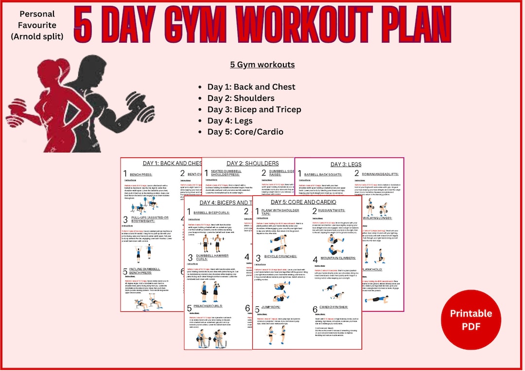 5 Day Gym Plan for Building Muscle Includes a Weekly Gym Split Full Guide digital Download Etsy