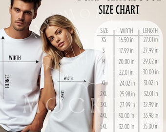Bella Canvas 3001 Size Chart 3001 Size Chart, Unisex 3001 T-shirt Size Chart, Size Chart Mock up, Size Guide Mockup, Size info mockup