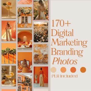 Orange Digital Marketing Content Photos MRR and PLR for Social Media