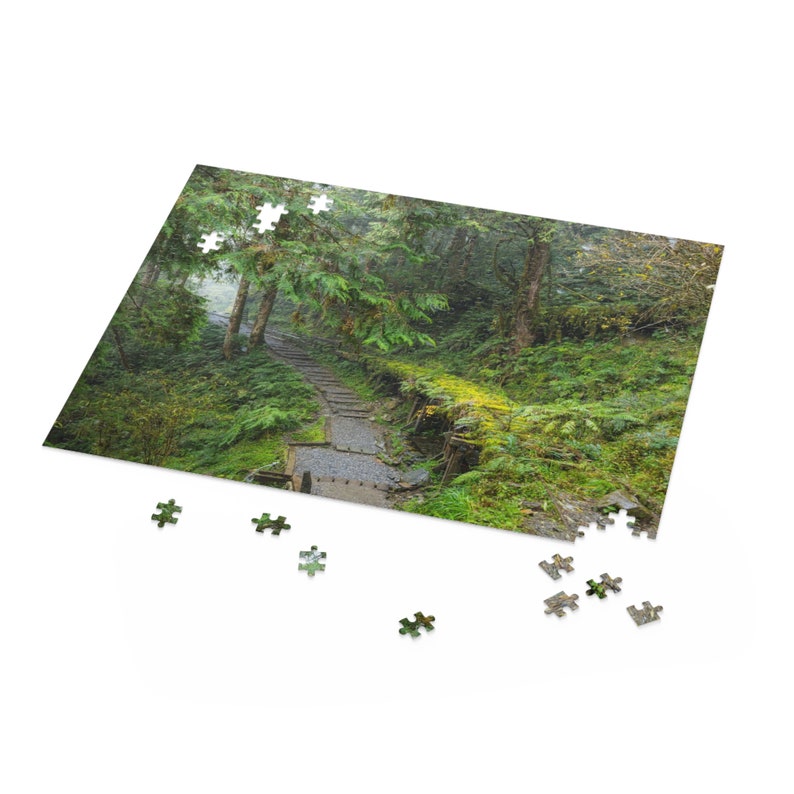 Stone Path Through the Forest Jigsaw Puzzle (120, 252, 500-piece) - Etsy
