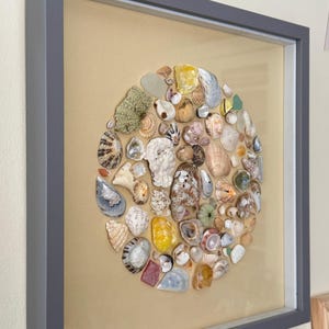 Könnte beinhalten: Ein gerahmtes Kunstwerk mit einer kreisförmigen Anordnung verschiedener Muscheln in Weiß-, Beige-, Gelb- und Brauntönen. Die Muscheln sind vor einem hellbraunen Hintergrund in einem grauen Rahmen angeordnet, was ein maritimes Thema erzeugt.