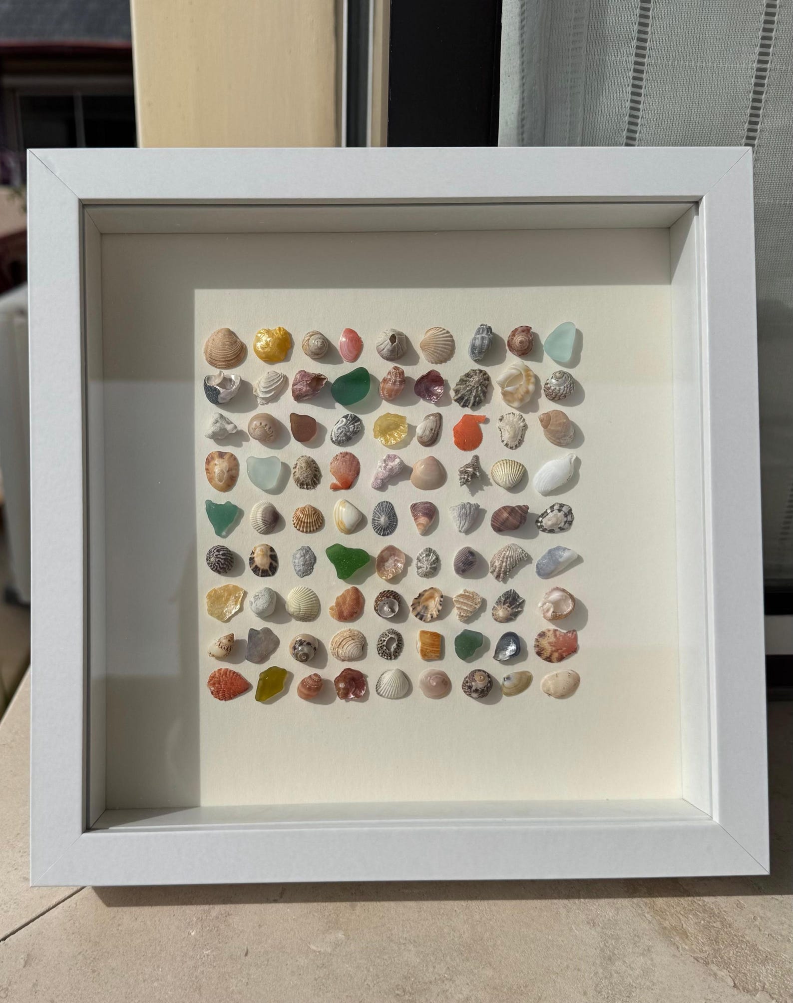 Beautiful Framed Seashell Art Made of Seashells Ethically Hand-picked ...