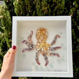 Op de afbeelding: Een ingelijst kunstwerk met een octopus gemaakt van schelpen. De octopus is in tinten roze, geel en wit. De achtergrond is wit met een paar lichtblauwe glazen stukjes verspreid rond de octopus. De rechterbenedenhoek van de lijst heeft de tekst "Seashells".