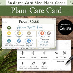 Plantilla de tarjeta para el cuidado de plantas, tamaño tarjeta de presentación, PDF listos para usar + plantilla Canva, editable, descarga instantánea, imprimible, A4, tamaño carta (EE. UU.)