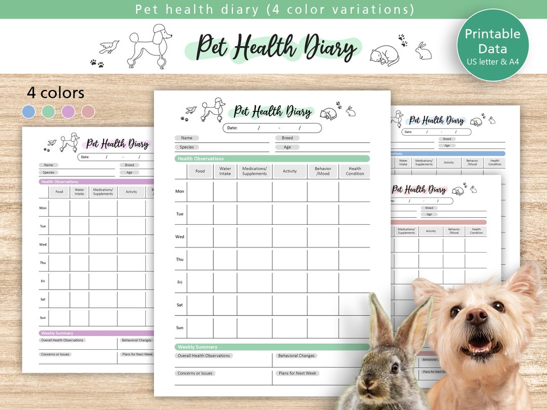 Pet Health Diary Printable, Pet Care Sheet, Health Condition, Health ...