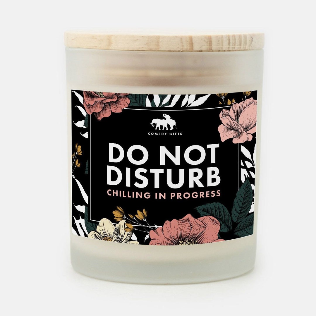 Do Not Disturb Funny Joke Candle Frosted Glass hand Poured Etsy