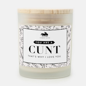 Candle Joke Scented Candle Funny Rude Candle Birthday Gift Candle Housewarming Gift You&#39;re a cunt candle Gift for friend Candle toilet