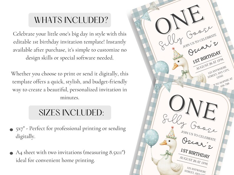 May include: A digital invitation template for a first birthday. The design features a cartoon goose holding a balloon, with text that reads "ONE Silly Goose" and details for the event. The background has a blue and white checkered pattern.