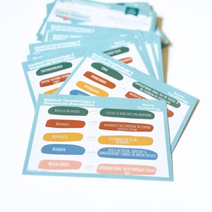 May include: A set of blue flashcards with colorful labels and arrows. The flashcards contain medical terminology and diagnostic procedures related to the nervous system. The terms include: Medulla Oblongata, Meninges, Meningitis, Midbrain, Myelin Sheath, Cerebrum, Hypothalamus,  and more.
