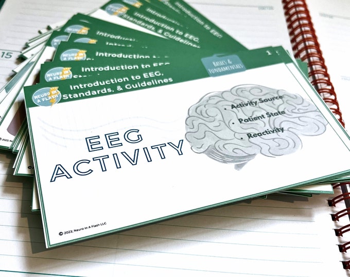 End Program Eeg EEG Flashcards