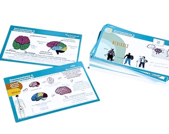 Neuroanatomy & Neurophysiology Flashcards | EEG Technologist | The Complete Nervous System Notes| Brain Function | Medical Student Education