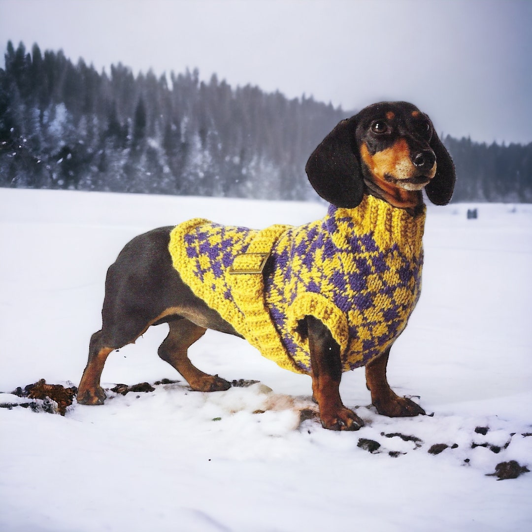 KNIT Dog Sweater Pattern Digitaladjustable Size Easy KNIT Dog Sweater
