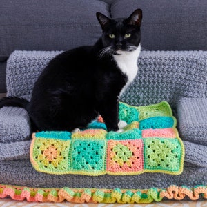 Crochet Cat Bed pattern-skill easy Crochet Cat couch 24Lx16w12t easily fits most cats-works for mid morning cat nap-mid afternoon nap image 2