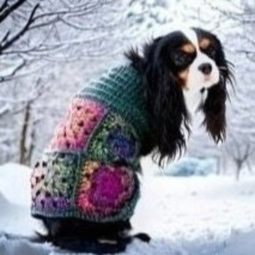 Crochet Pattern Dog Sweatergranny Square Dog Coats/m/l/xl/xxlgranny