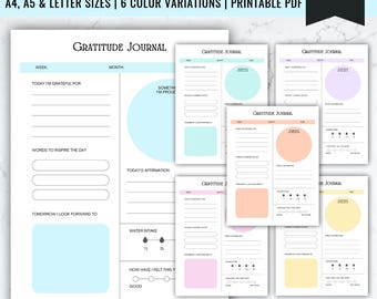 Diario de gratitud de 5 minutos: Registro diario de atención plena (Descarga digital)