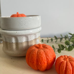 Halloween and Fall Pumpkin Spice Scented Wax Melts