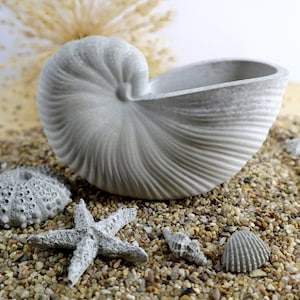 Muschel Shell aus Beton, Maritimes Deko