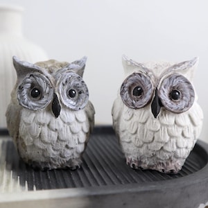 May include: Two decorative owl figurines. The owls are painted in shades of gray and white, with detailed feather textures and large, expressive eyes. They sit on a dark gray, textured tray, suggesting a home decor theme.