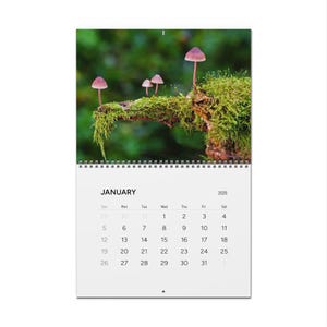 Mushroom Hunting Calendar (2025)
