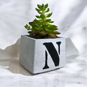 Maceta de hormigón personalizada/Maceta con monograma personalizado/Regalo único para plantas/Maceta con suculentas con inicial/Decoración para el hogar hecha a mano