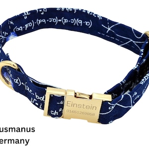 Personalized dog collar Einstein metal buckle, blue dog collar with white lettering and formulas