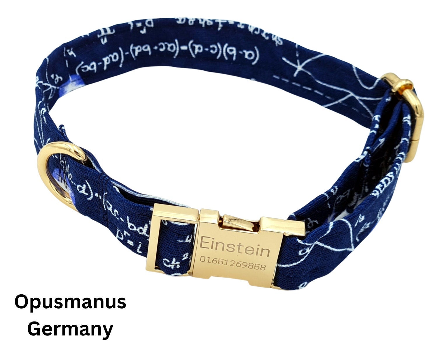 Einstein dog collar hotsell