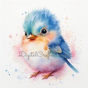Cute Bird Clipart, 10 High Quality JPGs, Nursery Art, Watercolor Bird Pictures, Bird Images, Kids Clipart, Digital Download, Card Making