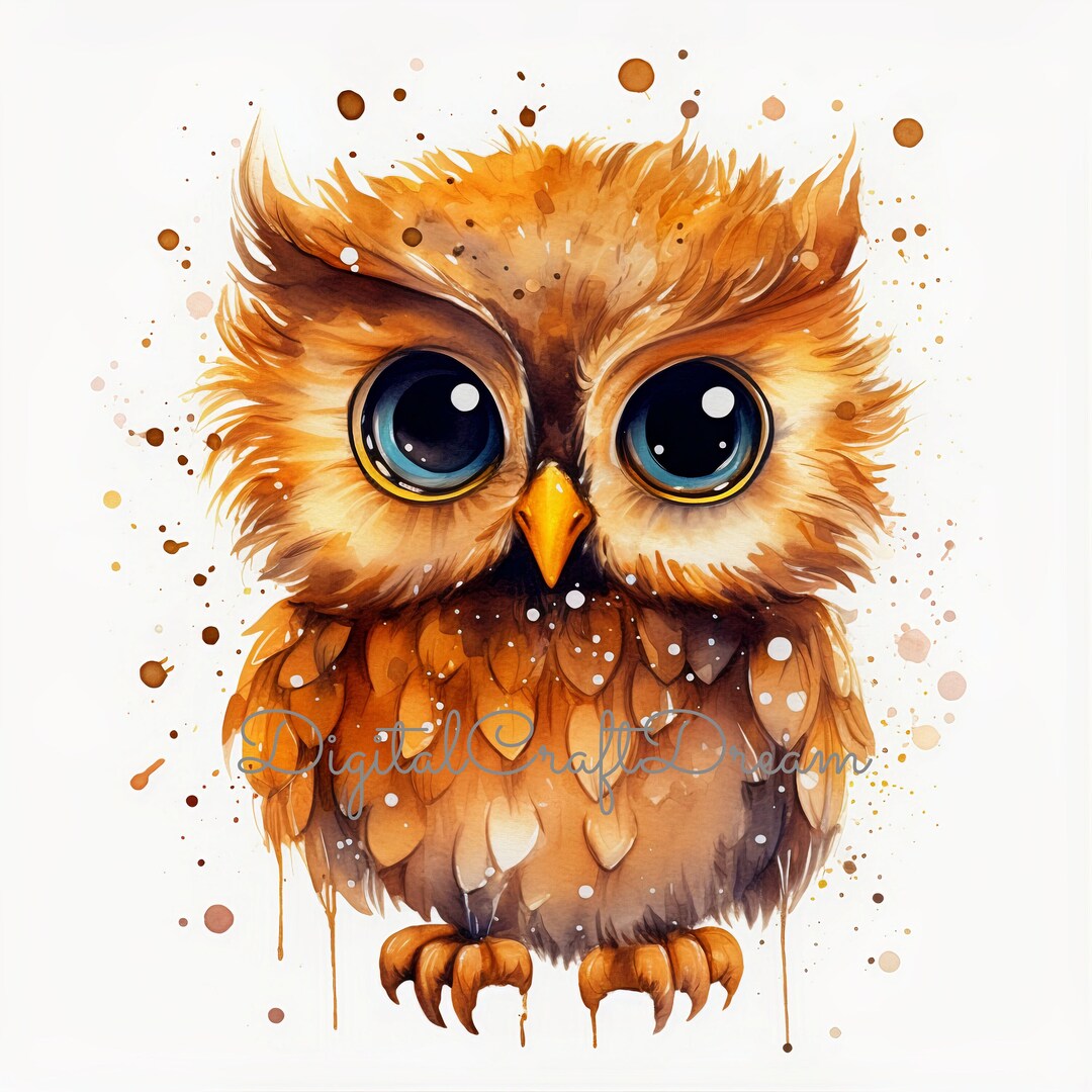 cute-owl-clipart-12-high-quality-jpgs-digital-clipart-kids-clipart