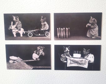 1910s Vintage Cat Photo Magnets Set of 4, Funny Cute Cat Kittens in Clothes Bowling Diving Birthday Cake, 3.5x2 inches, Fridge Magnet Set