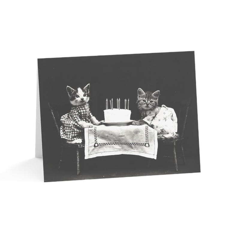 Greeting Card, Cute Vintage Kittens Birthday Card - Funny, Card w/Env or Set of 10, 30 pcs, Blank Inside for Message, Glossy or Matte image 1