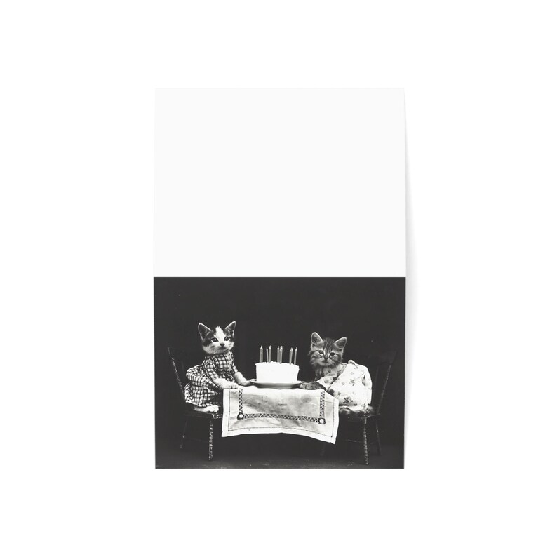 Greeting Card, Cute Vintage Kittens Birthday Card - Funny, Card w/Env or Set of 10, 30 pcs, Blank Inside for Message, Glossy or Matte image 3