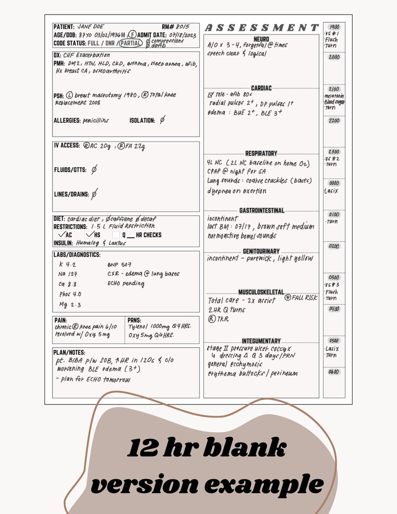 May include: A medical assessment form with a patient's information, including name, age, date of birth, medical history, allergies, and medications. The form also includes a section for vital signs, assessments, and plans for care.