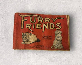 Antique Muslin Copy of children's book Furry Friends 1906 Saalfield Publishing