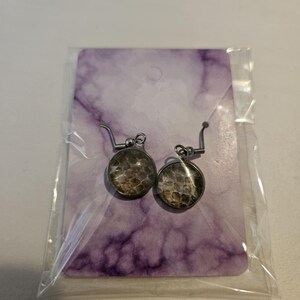 May include: A pair of silver dangle earrings with round, clear glass cabochons featuring a brown and white snake skin pattern.