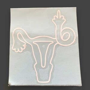 May include: A white outline of a uterus with a middle finger raised in the air. The uterus is a symbol of female anatomy and the middle finger is a symbol of defiance.