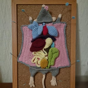 Crochet Rat Dissection