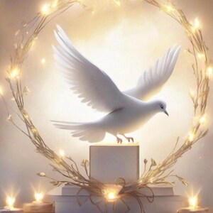 Greeting card / Greeting card | Colombe / Dove
