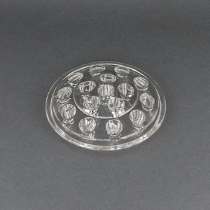 May include: A clear glass flower frog with multiple small holes for holding stems. The frog is round and has a slightly raised edge.