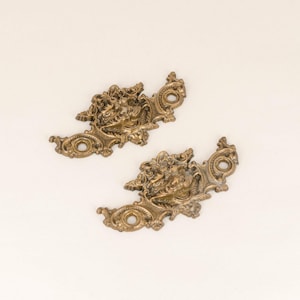 May include: Two ornate gold-toned metal decorative accents with intricate designs. Each accent features a central floral motif and a ring on the side.