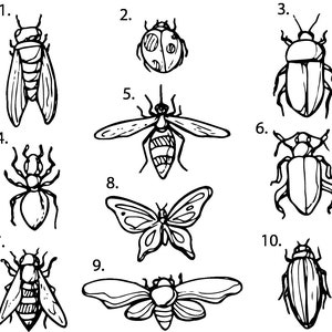 May include: Black and white line art illustrations of various insects, including a ladybug, butterfly, bee, and several beetles.
