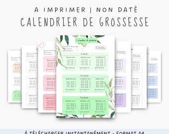 Calendrier de grossesse