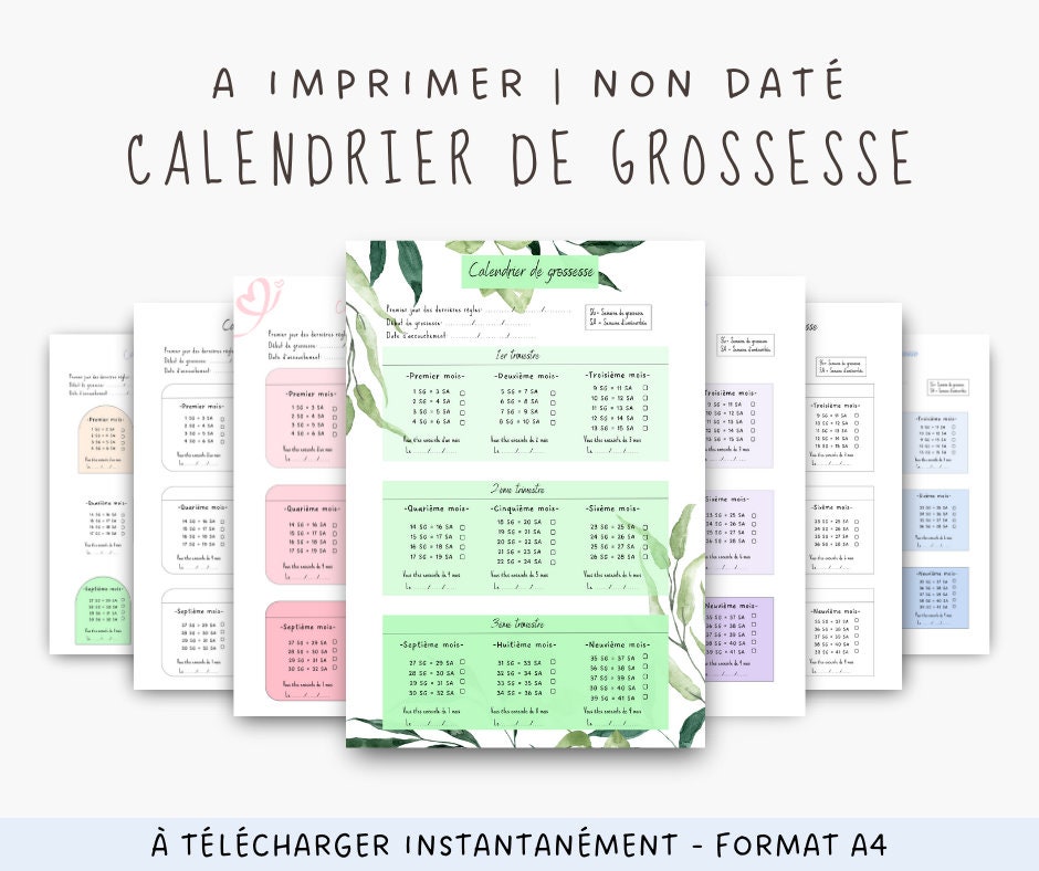 Calendrier Individuel Ce1 2024 2025 Jemie Lorenza