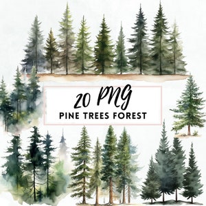 Clipart di alberi della foresta ad acquerello, albero di pino in formato PNG, albero del bosco, paesaggio invernale della foresta, albero ad acquerello, invito di nozze, SCARICA