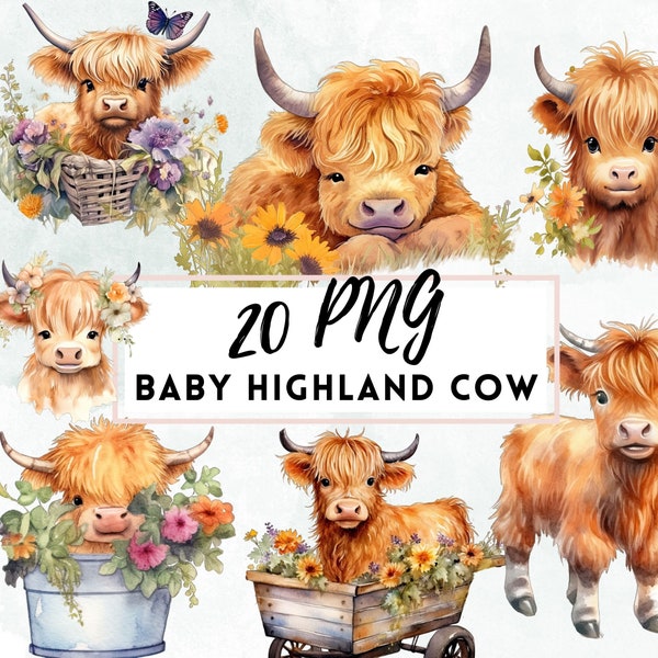 Highland Baby Cow Watercolor Clipart, Cow PNG bundle, Highland Cow, Baby Shower Art, Baby Animal, Baby Cow Clipart Bundle, Baby Cow DOWNLOAD