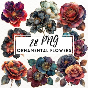 Aquarel bloemen clipart, bloemen clipart set, bloem PNG, Fantasy bloemen illustraties PNG, Instant Download, commercieel gebruik